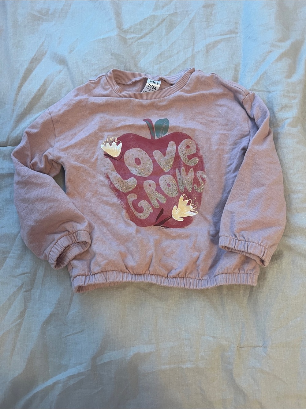 Carters Kids Pink 'Love Grows' Sweatshirt size: 3T